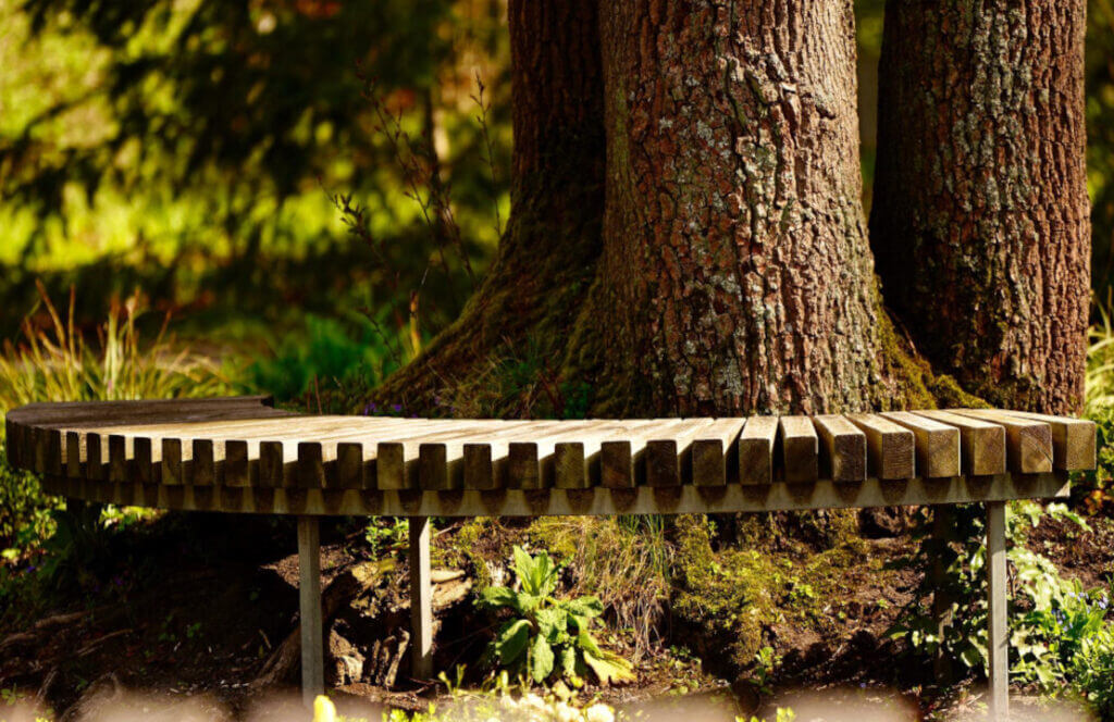 Un banc en bois autour du tronc d’un sapin.