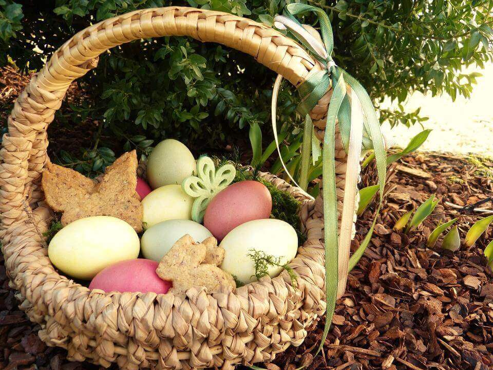 Petit nid de Pâques garni d’œufs de Pâques, caché sous un buis