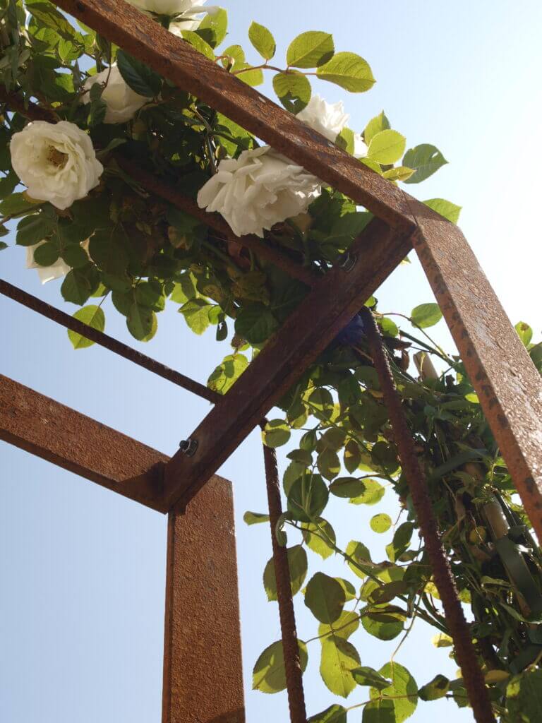 Arche à rosiers Savona d'ELEO, non traitée, couverte de roses blanches, détail